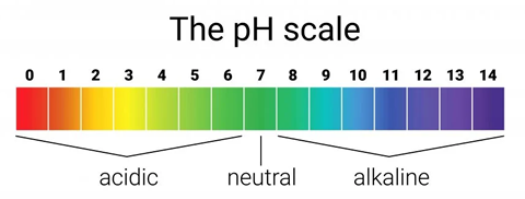 pH scale animation